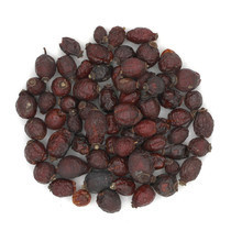 sipovnik-plody-celnye-rossiia-big-0