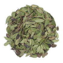 brusnika-list-belarus-big-0