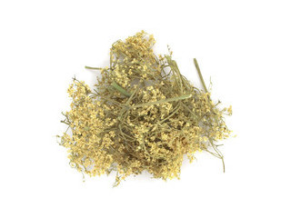 Бузина цветки Польша