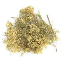 buzina-cvetki-polsa-big-0