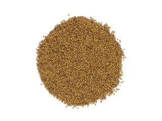 Горчица семена желтые Россия