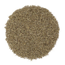 kumin-semena-zira-indiia-big-0