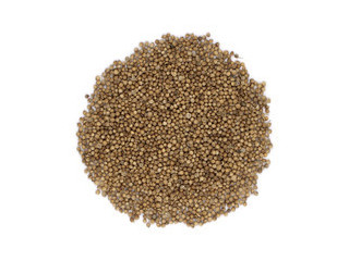 Кориандр плоды Россия