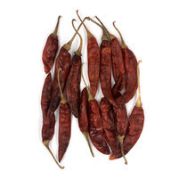 perec-krasnyi-cili-s-plodonozkoi-celnyi-indiia-big-0