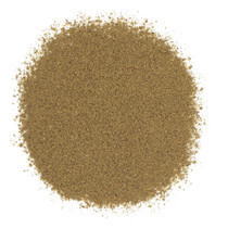 tmin-molotyi-vs-rossiia-big-0