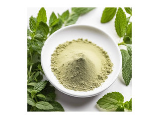Экстракт мелиссы сухой (10:1) Китай