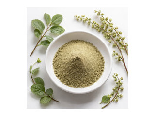 Экстракт боровой матки (ортилии однобокой) сухой