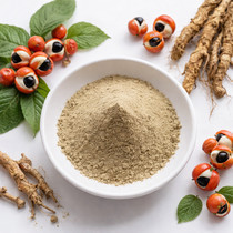 ekstrakt-guarany-suxoi-41-kitai-big-0