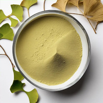 ekstrakt-ginkgo-biloba-suxoi-101-kitai-big-0