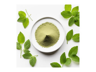 Экстракт пустырника сухой (не менее 4% иридоиды) Китай