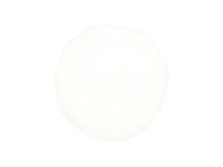 Риботайд Индонезия