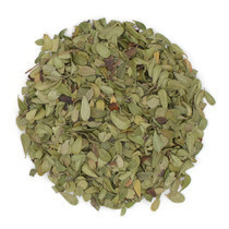 toloknianka-list-celnyi-rossiia-big-0