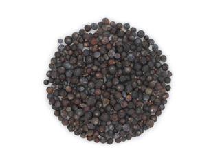 Можжевельник плоды Польша