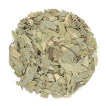 senna-list-celnyi-indiia-big-0