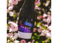 syrah-2022-small-0