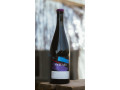 syrah-2022-small-1