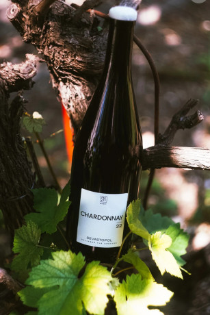 chardonnay-2022-big-1